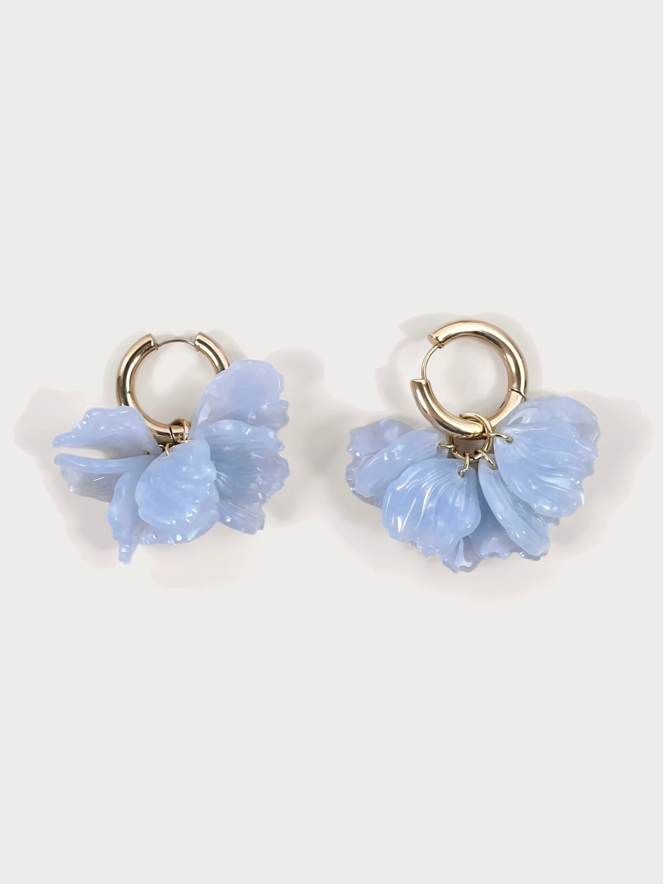 Boucles Bloom
